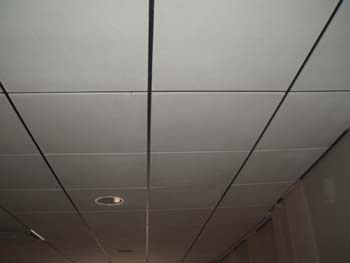 P1010087